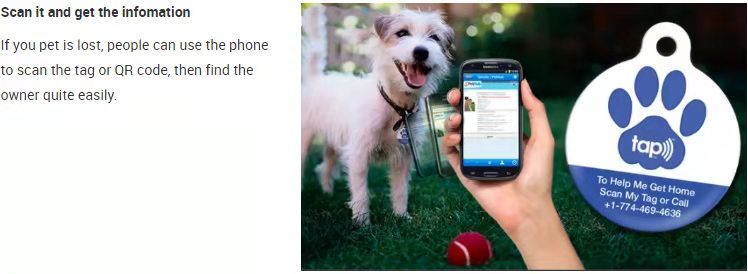 Etiquetas epoxi NFC con código QR para viviendas de mascotas