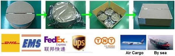 Windshield RFID Tag