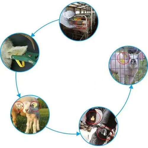 Etiqueta de oreja de animal RFID al por mayor