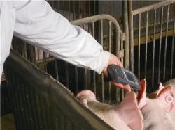 Investigación sobre la aplicación de la tecnología RFID en la Plataforma de Trazabilidad de la Seguridad Alimentaria