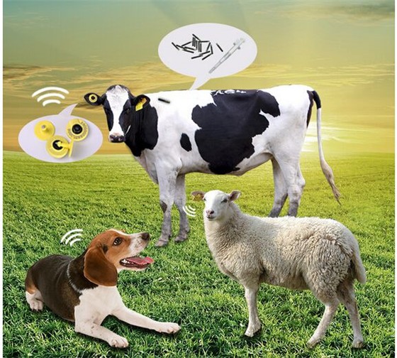 Sistema de trazabilidad de alimentos para animales Solución RFID - Etiqueta de oreja RFID para animales