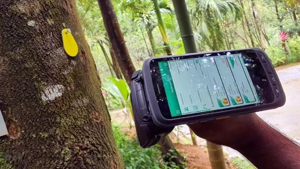 Una empresa forestal de Sri Lanka utiliza tecnología RFID para rastrear la salud de los árboles.