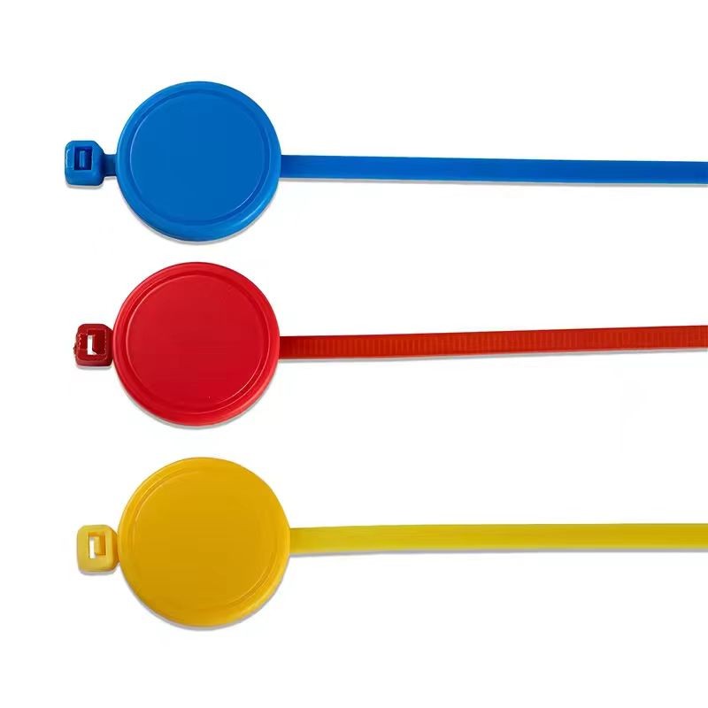 Etiqueta de nailon con brida para cable de plástico RFID NFC NTAG213 de 13,56 MHz y 1K, impresa a medida