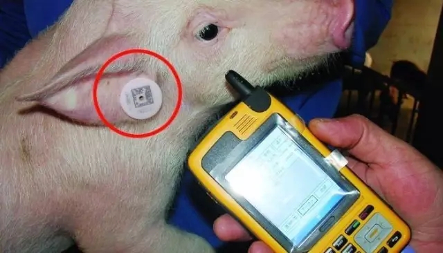 Solución de sistema de trazabilidad de etiquetas RFID de ganado agrícola RFID