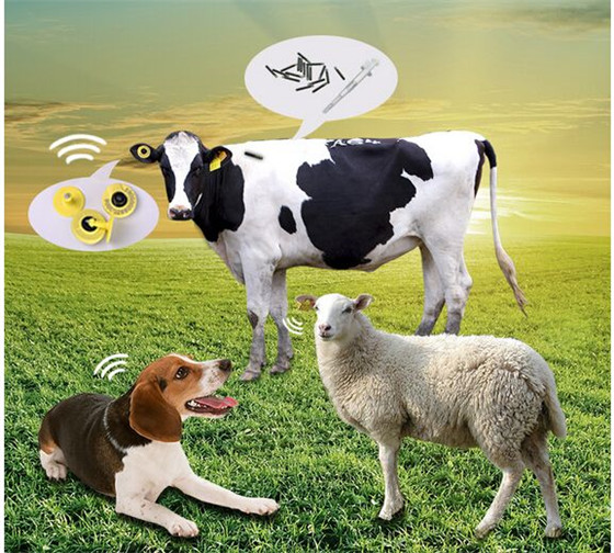 Solución RFID del sistema de trazabilidad de alimentos para animales - Etiqueta RFID Animal ear